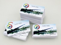 Cartoes de PVC