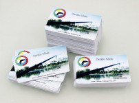 Cartões de PVC